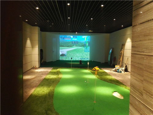專業室內高爾夫模擬器