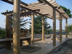 廣州同欣 木塑型材賦能康體設(shè)備，引領(lǐng)綠色運(yùn)動新潮流